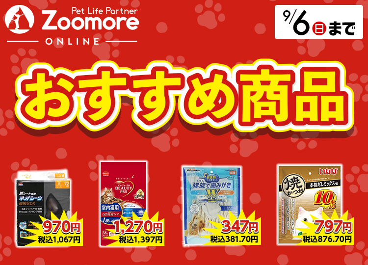 おすすめ商品特集