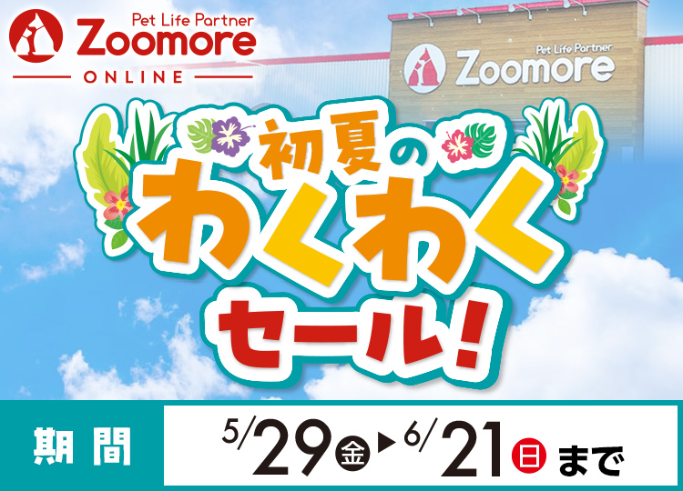 初夏のわくわくセール 5月29日金曜日から6月21日日曜日まで
