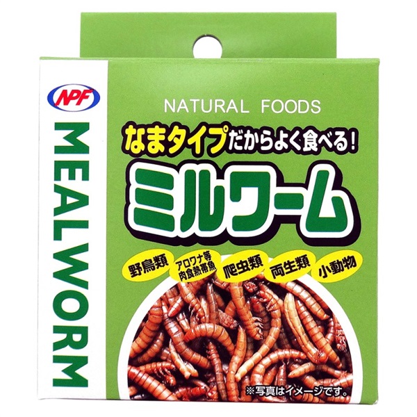 ナチュラルペットフーズ ミルワーム 35g(ミルワーム)