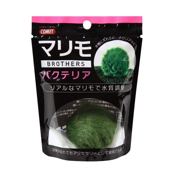 イトスイ コメット マリモブラザーズ バクテリア