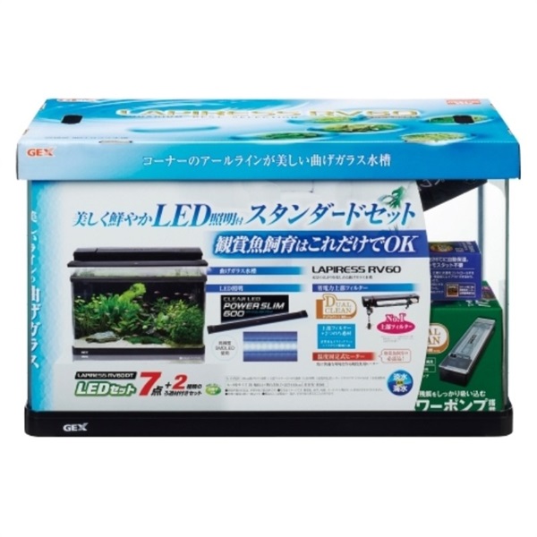 ジェックス ラピレスRV60DT LEDセット 黒(ラピレスRV60DT LEDセット 黒)