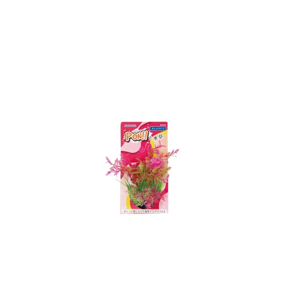 寿工芸 KOTOBUKI PON-S レッドリーフ(レッドリーフ)