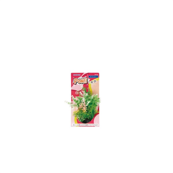 寿工芸 KOTOBUKI PON-S ファンシー(ファンシー)