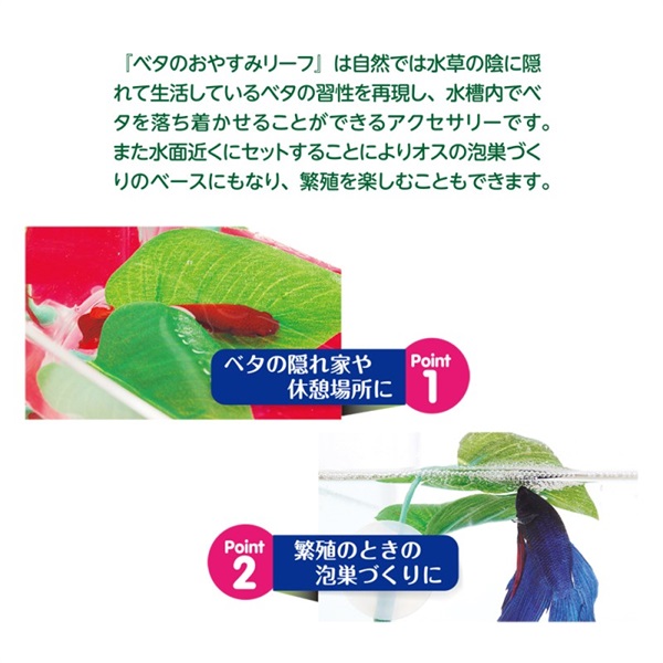 水作 ベタのおやすみリーフ｜アクセサリー｜ZoomoreONLINE（ズーモア