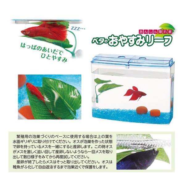 水作 ベタのおやすみリーフ｜アクセサリー｜ZoomoreONLINE（ズーモア